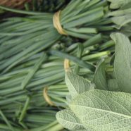 Detoxification: Reduce inflammation, increase fertility, and improve autoimmune disease