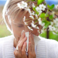 Got Seasonal Allergies? Fix Your Gut